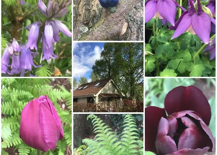 Cosy & Natural *fireplace*garden*2 Bikes Heinenoord